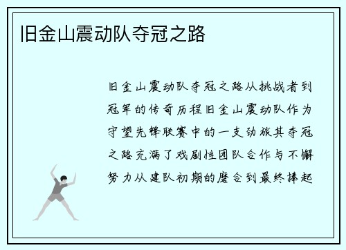 旧金山震动队夺冠之路